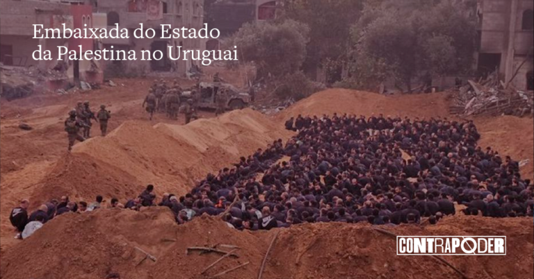 Newsletter 12 de dezembro de 2023 – Palestina Livre